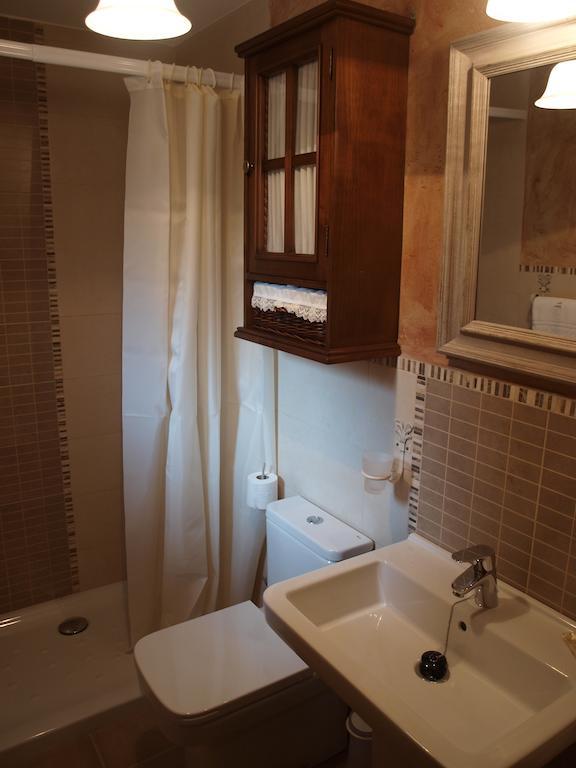 Apartamentos Casa Gallan Sarvisé Rum bild